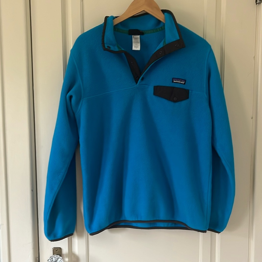 Patagonia Synchilla Pullover L EUC